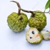 Sugar apple